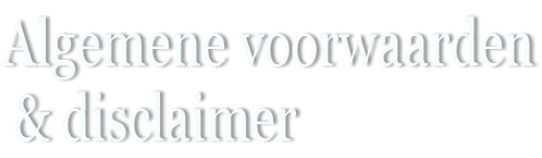 Algemene voorwaarden  & disclaimer